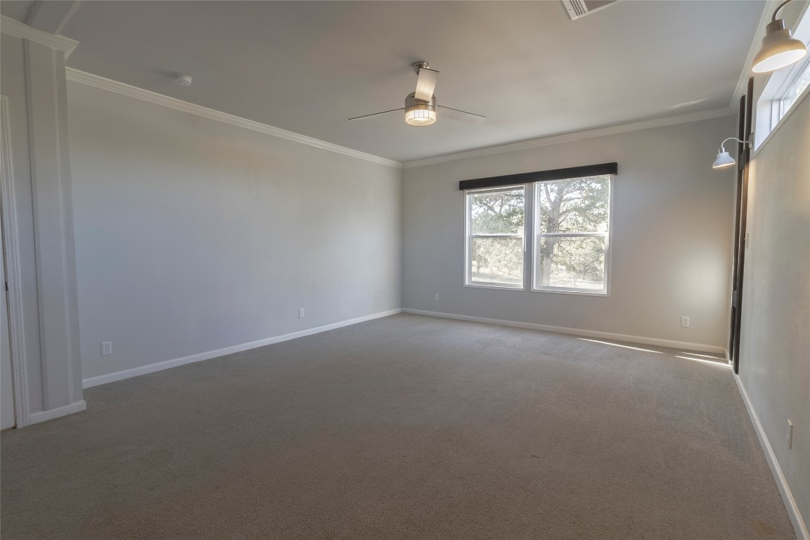 425 High View Ranch Drive Cedar Creek, TX 78612 - Photo 20 of 36 Empty room with ornamental molding, carpet, healthy amount of natural light, and ceiling fan