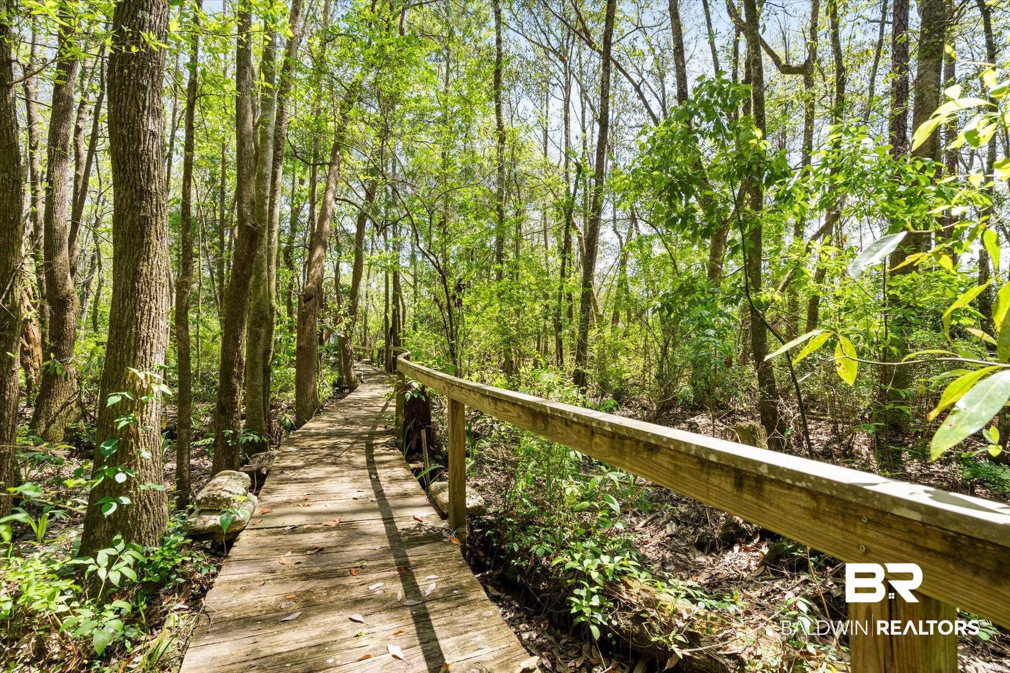 16620 Ferry Road Fairhope, AL 36532 - Photo 23 of 28 View of property's community featuring a view of trees