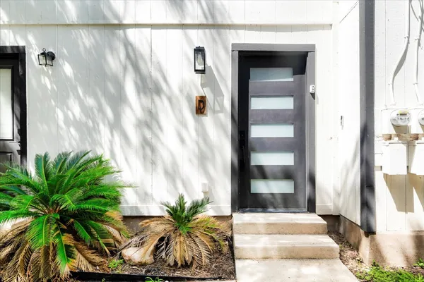 a potted plant in front of a door