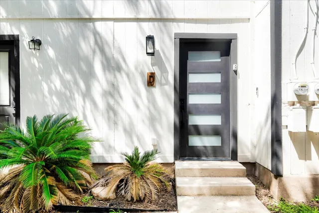 a potted plant in front of a door