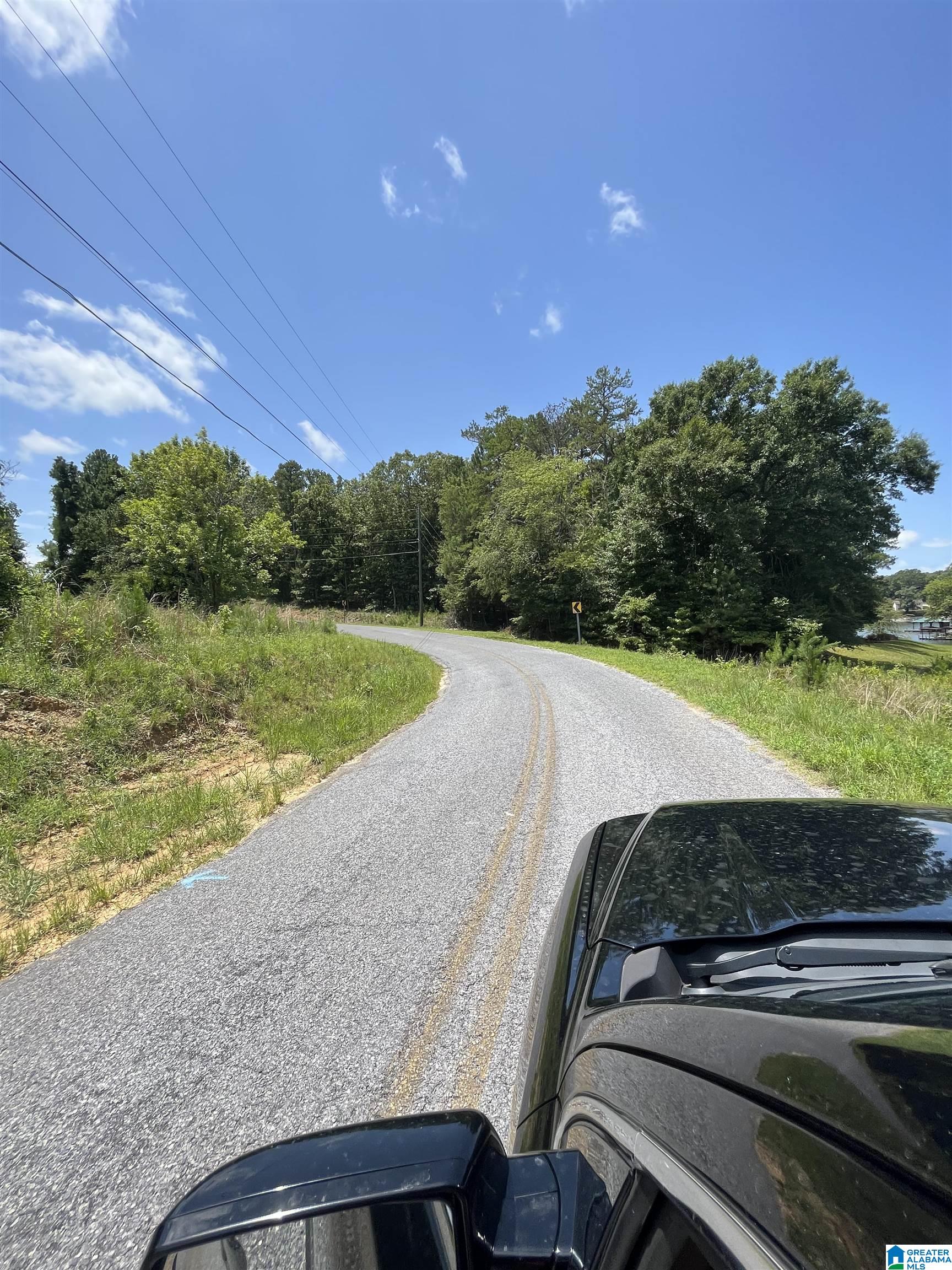 0 Meadow River Road, Unit 1 Talladega, AL 35160 - Photo 2 of 9