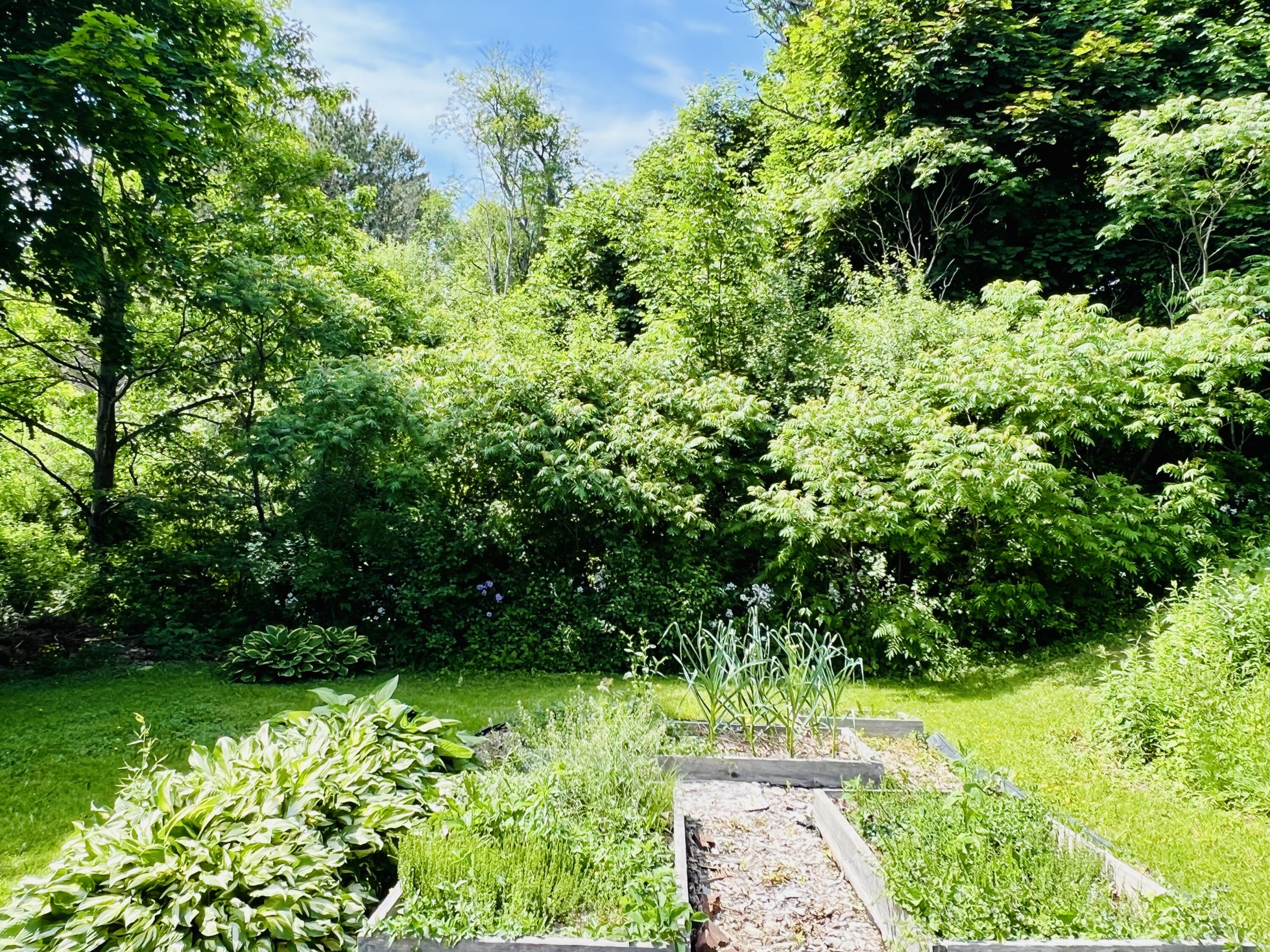 170 Main Road North Hampden, ME 04444 - Photo 11 of 77 IMG_9501