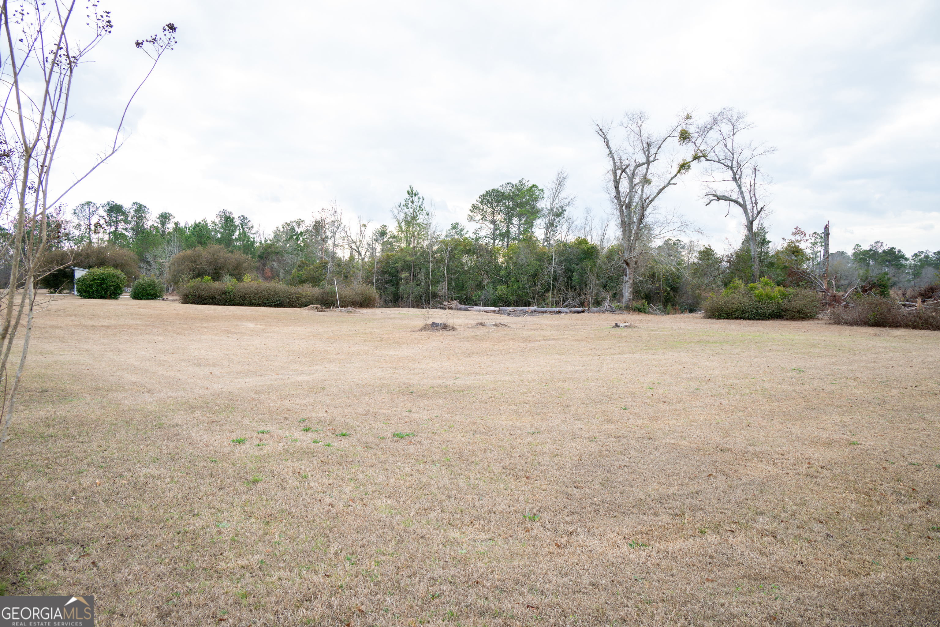 963 Springhill Church Road Alamo, GA 30411 - Photo 71 of 84