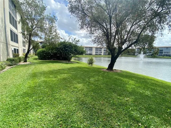 a view of a lake with a tree