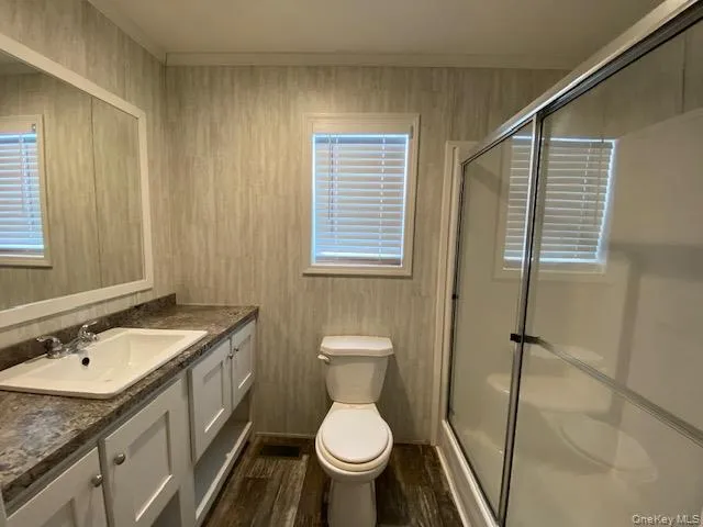 a bathroom with a granite countertop sink toilet and a mirror