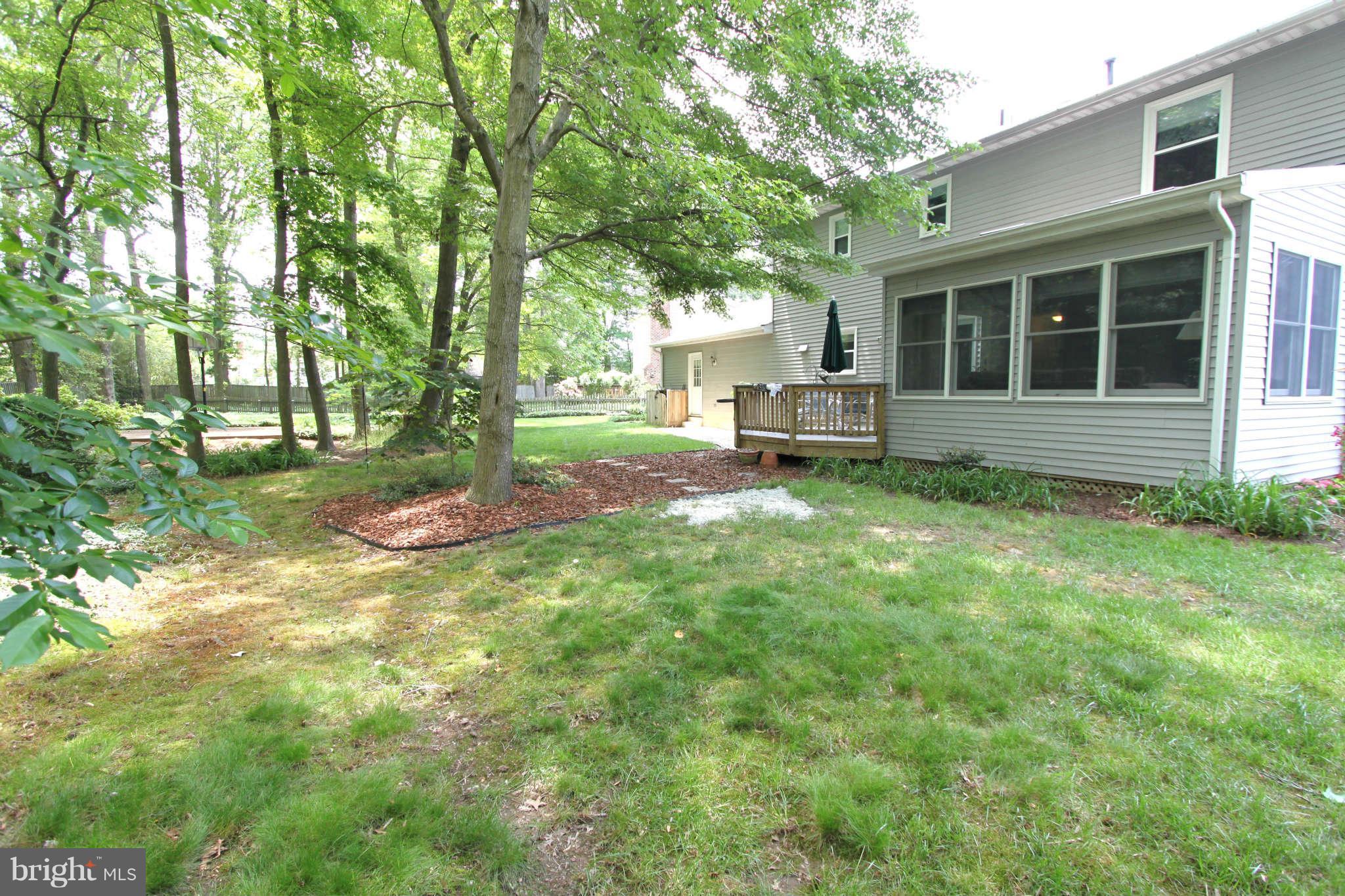 8229 Stacey Road Alexandria, VA 22308 - Photo 14 of 21 Large Backyard
