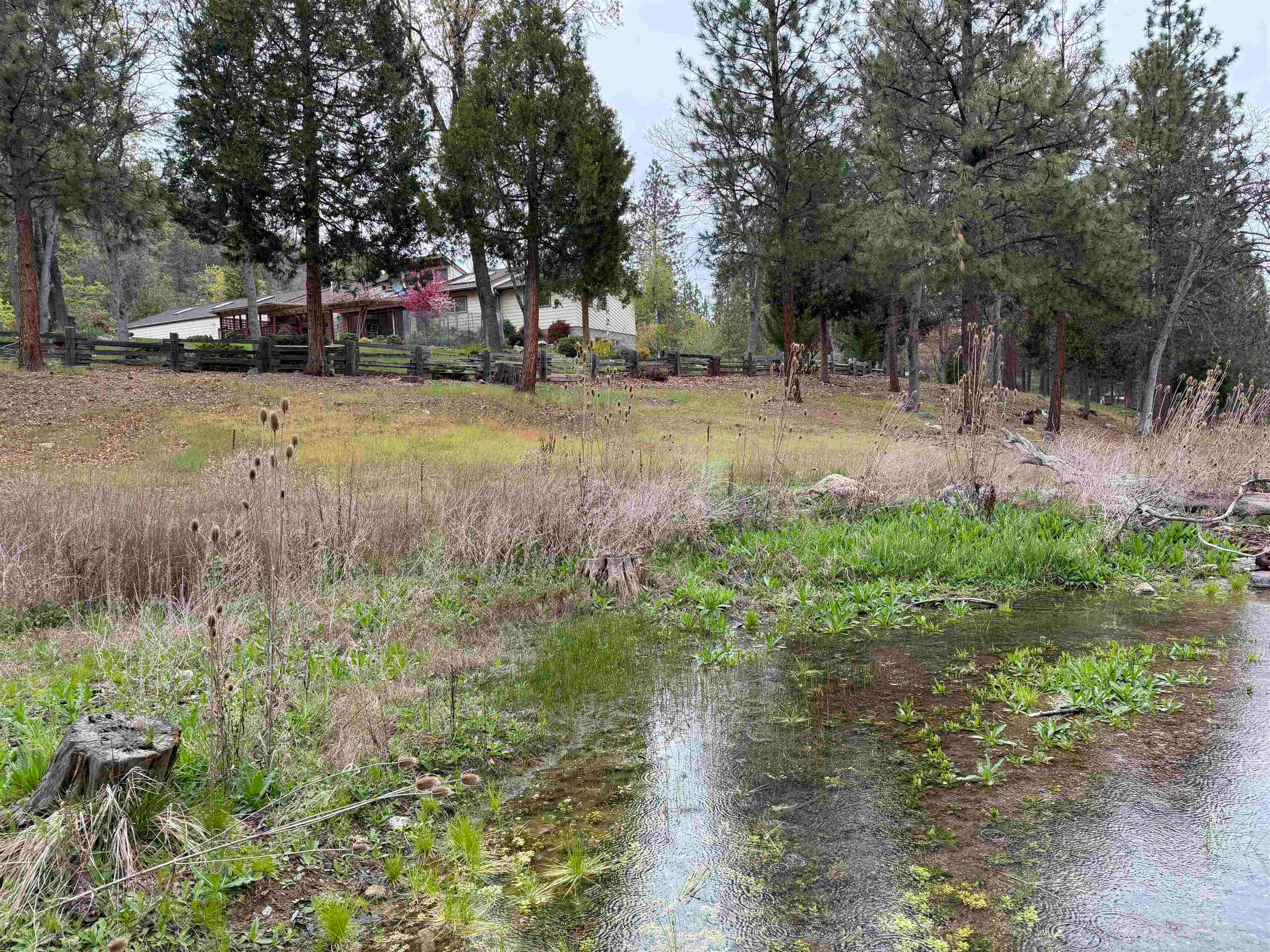 5920 Schulmeyer Road Yreka, CA 96097 - Photo 20 of 49 Gallery Image 20