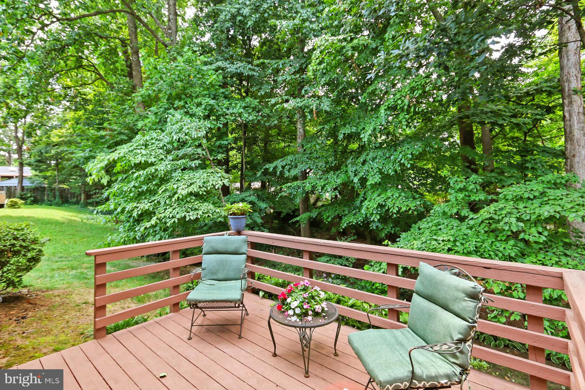 6808 Sydenstricker Road Springfield, VA 22153 - Photo 44 of 65 Rear deck