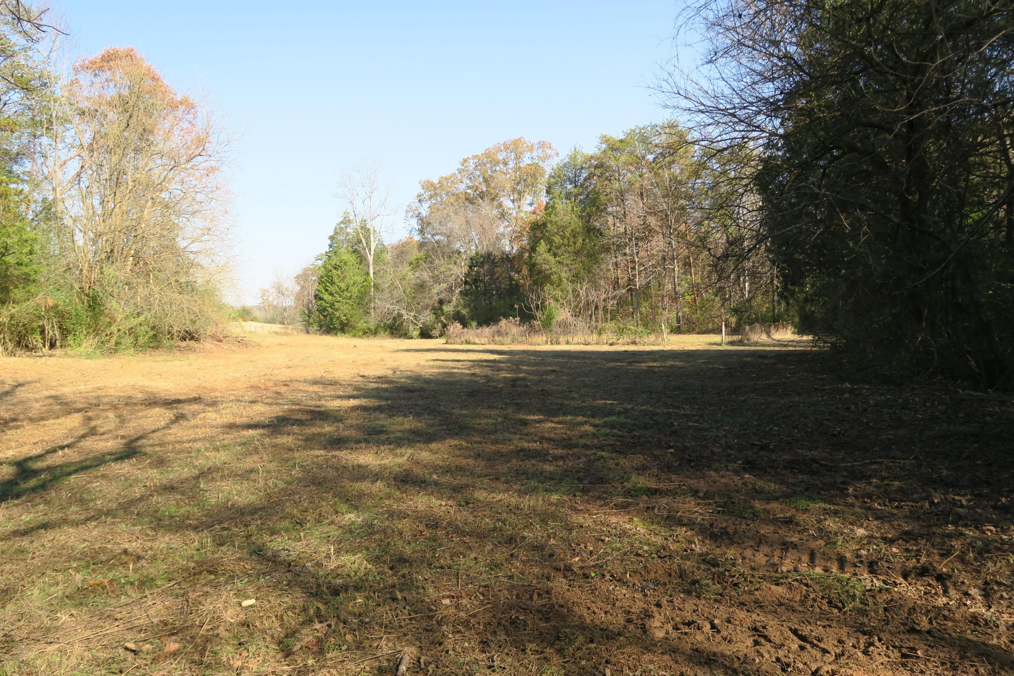 4461 Floyd Lee Road Friendsville, TN 37737 - Photo 17 of 35 Gallery Image 17