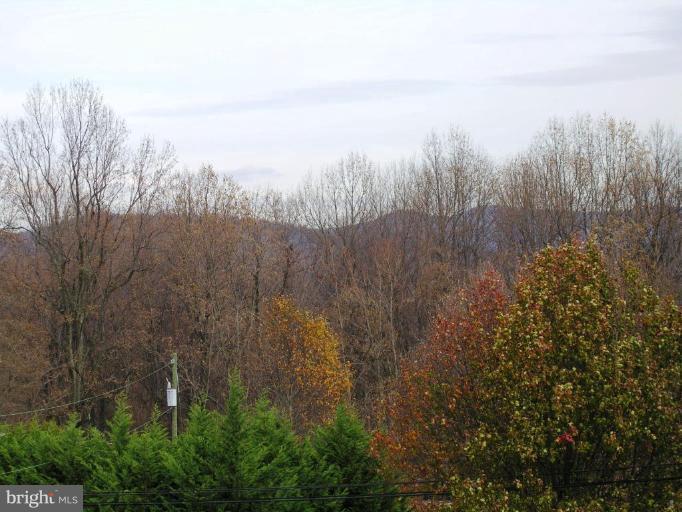 28 Waterfall Road Chester Gap, VA 22623 - Photo 12 of 20 Mountain View 1