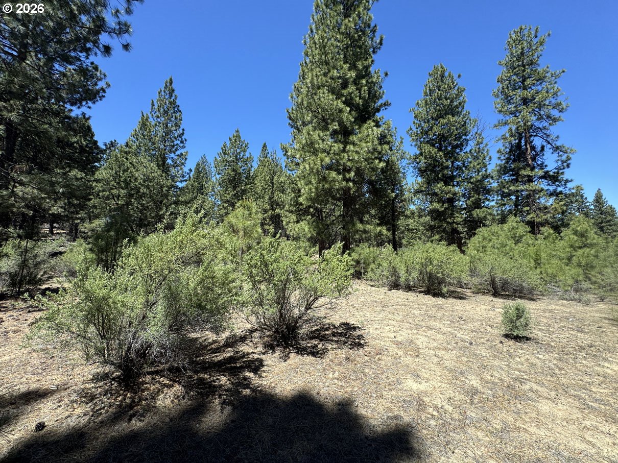 Friendship Drive, Unit 15 Chiloquin, OR 97624 - Photo 31 of 41