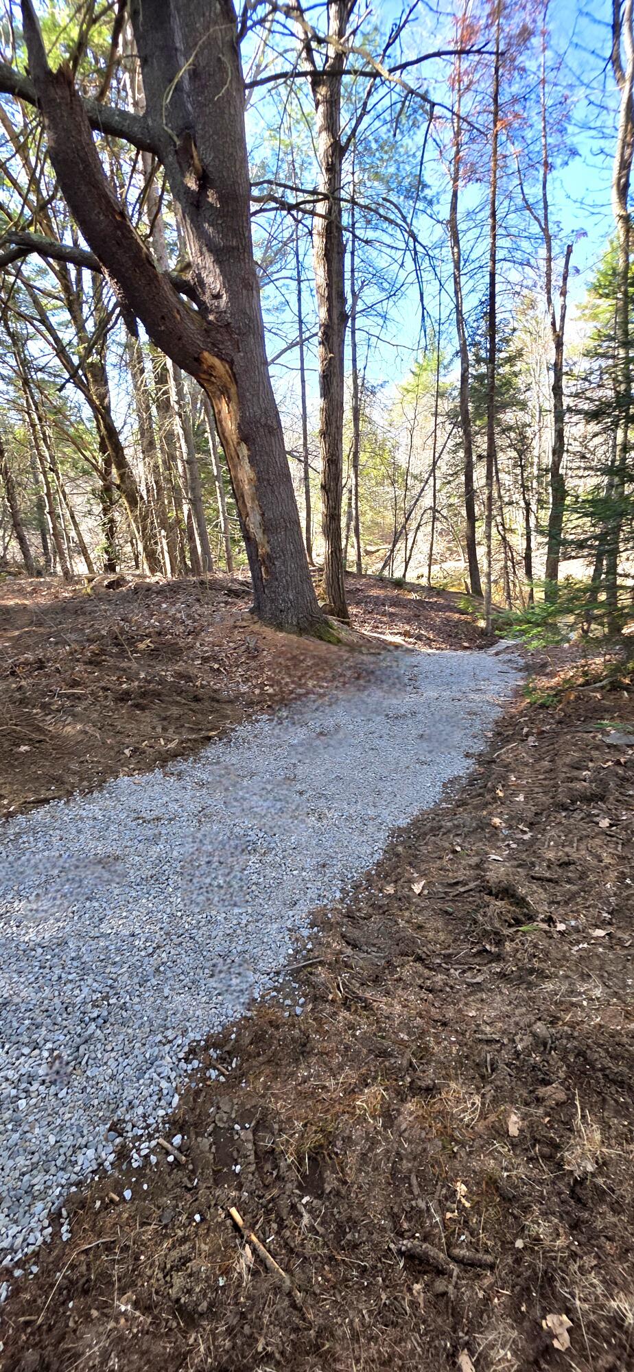 131 Mechanic Falls Road Oxford, ME 04270 - Photo 27 of 35 20260428_085905