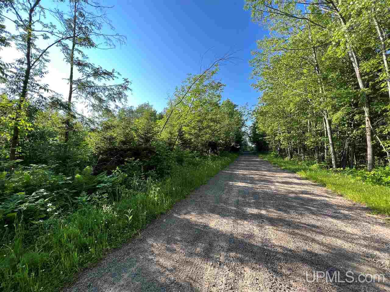 Tbd Nordstrom Road Iron River, MI 49935 - Photo 2 of 3