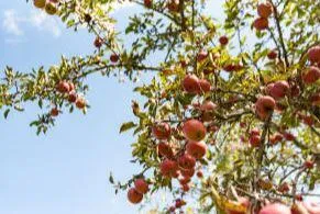 $1,500,000 | 45 Freedom Road, Belgrade, ME 04917