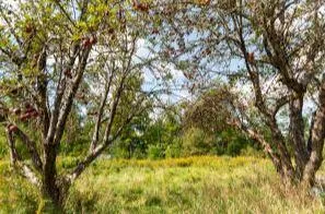 $1,500,000 | 45 Freedom Road, Belgrade, ME 04917