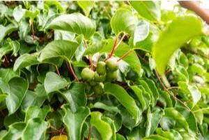 $1,500,000 | 45 Freedom Road, Belgrade, ME 04917