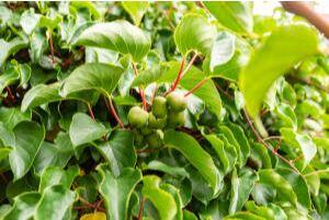 45 Freedom Road Belgrade, ME 04917 - Photo 38 of 81 45 Freedom Road