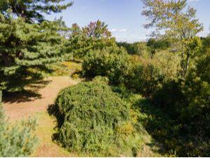 45 Freedom Road Belgrade, ME 04917 - Photo 39 of 81 45 Freedom Road