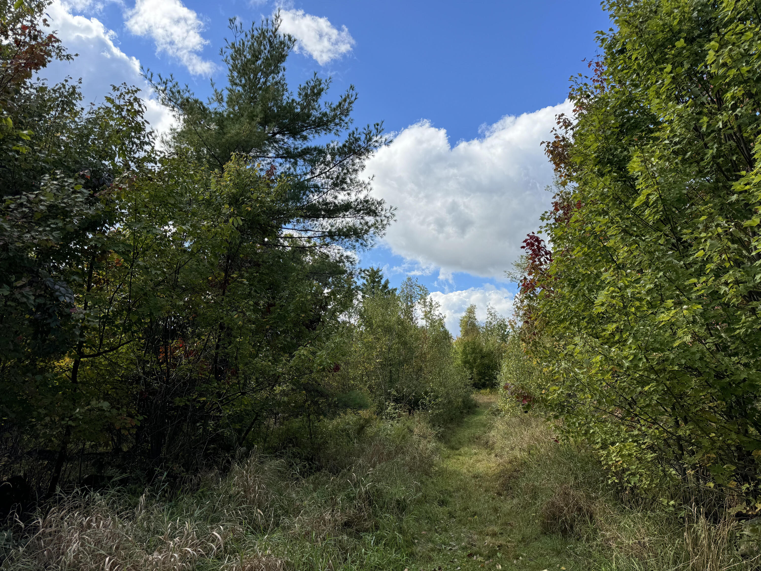 45 Freedom Road Belgrade, ME 04917 - Photo 44 of 81 45 Freedom Raod