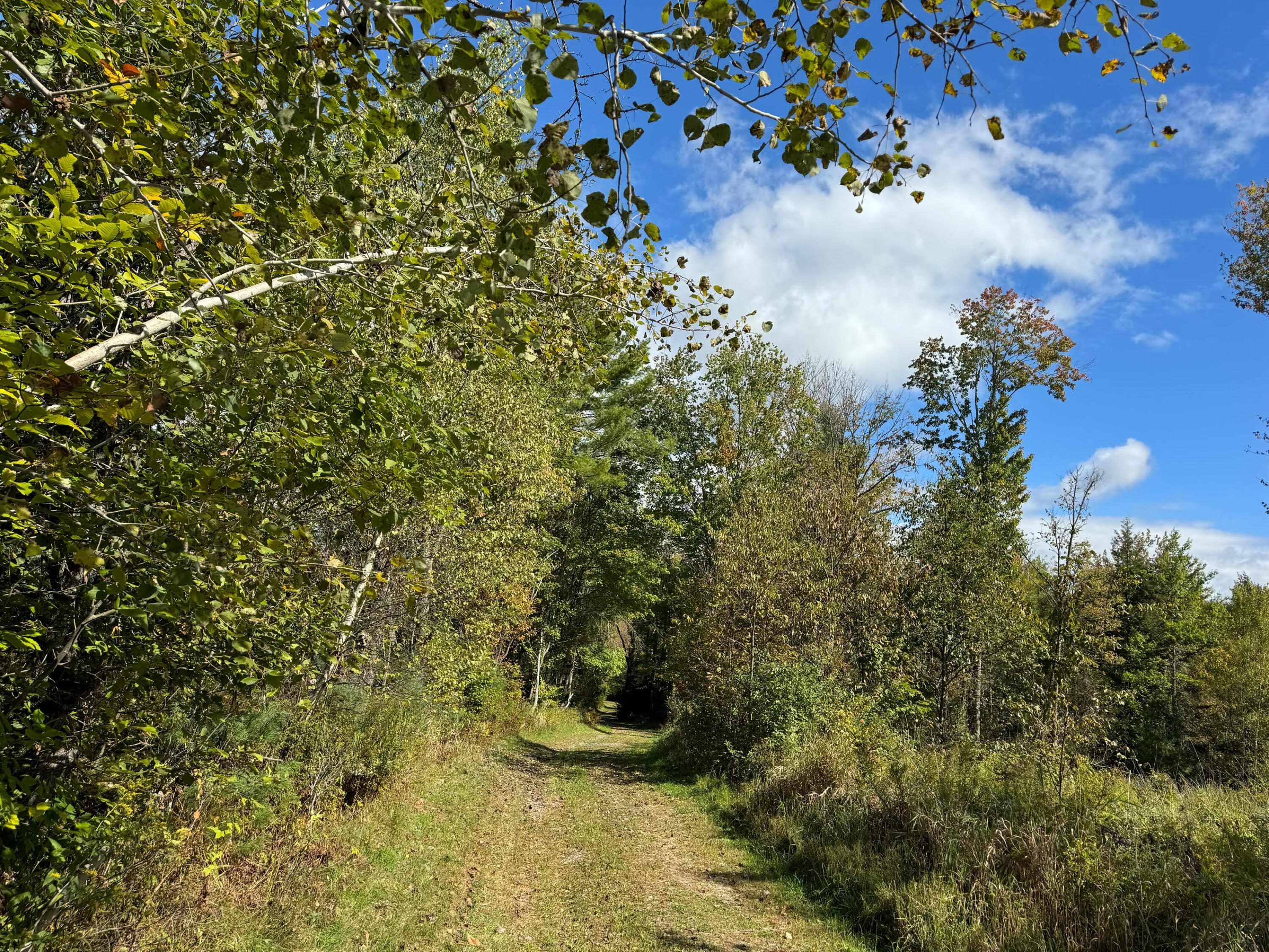 45 Freedom Road Belgrade, ME 04917 - Photo 45 of 81 45 Freedom Road