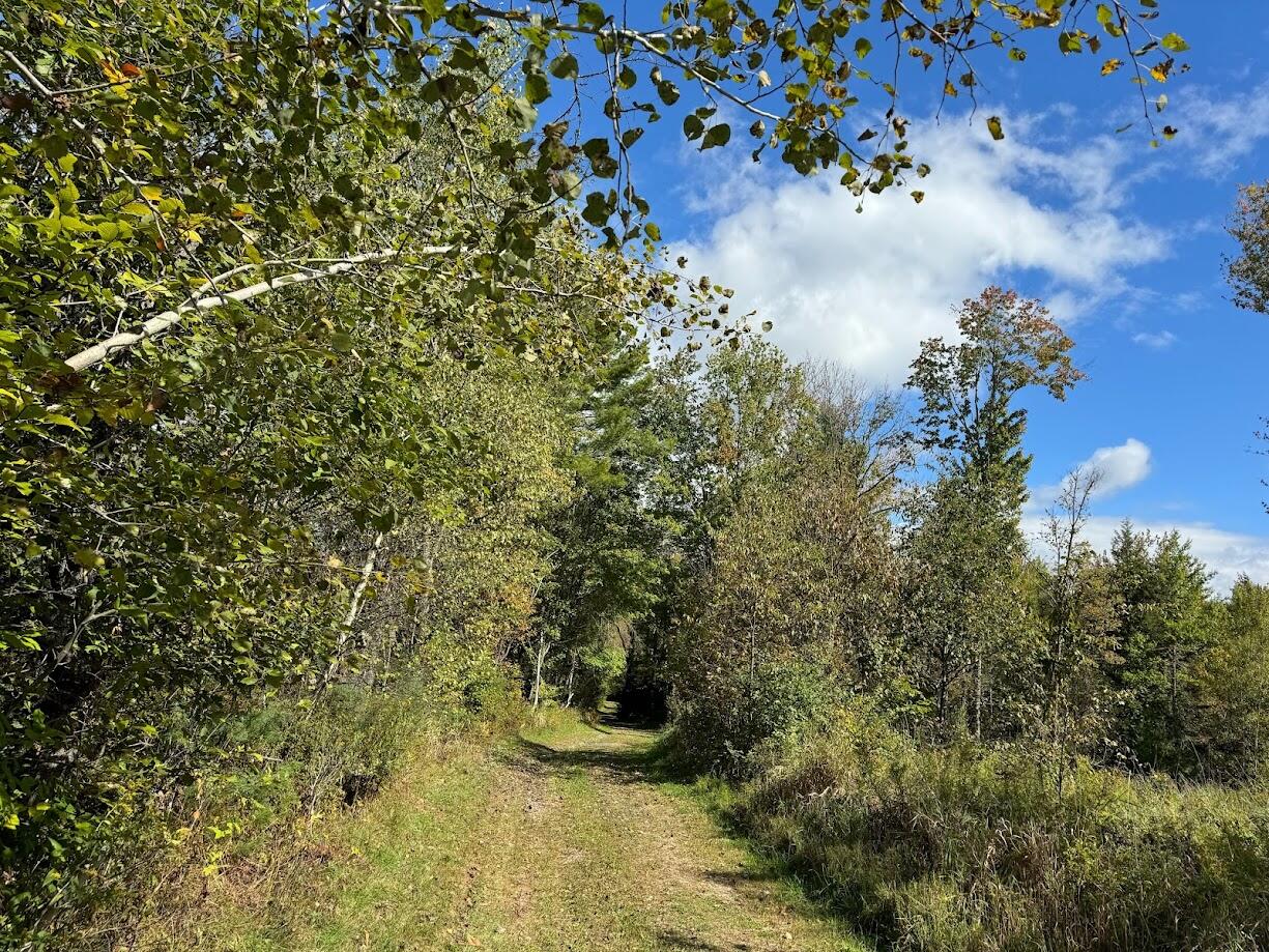 45 Freedom Road Belgrade, ME 04917 - Photo 49 of 81 45 Freedom Road