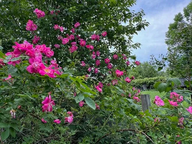 $1,500,000 | 45 Freedom Road, Belgrade, ME 04917