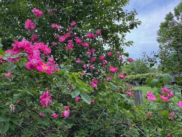 45 Freedom Road Belgrade, ME 04917 - Photo 65 of 81 45 freedom Road