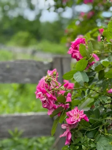 $1,500,000 | 45 Freedom Road, Belgrade, ME 04917