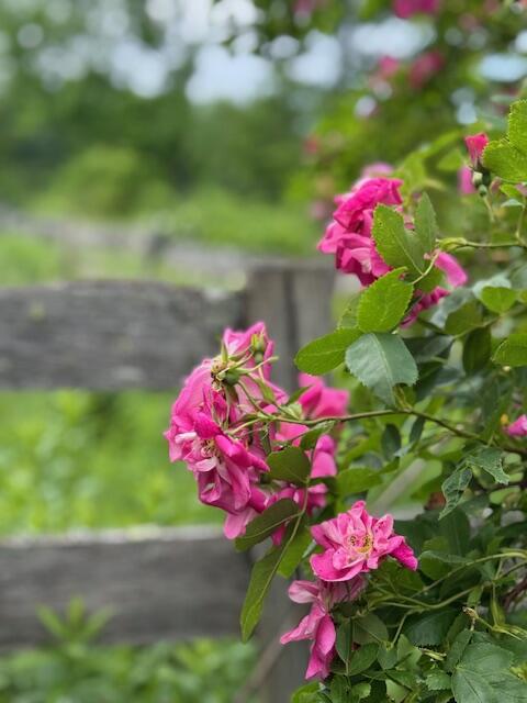 45 Freedom Road Belgrade, ME 04917 - Photo 66 of 81 45 Freedom Road