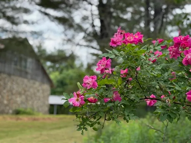 $1,500,000 | 45 Freedom Road, Belgrade, ME 04917