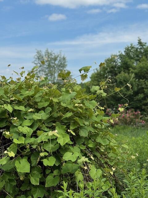 45 Freedom Road Belgrade, ME 04917 - Photo 68 of 81 45 Freedom Road