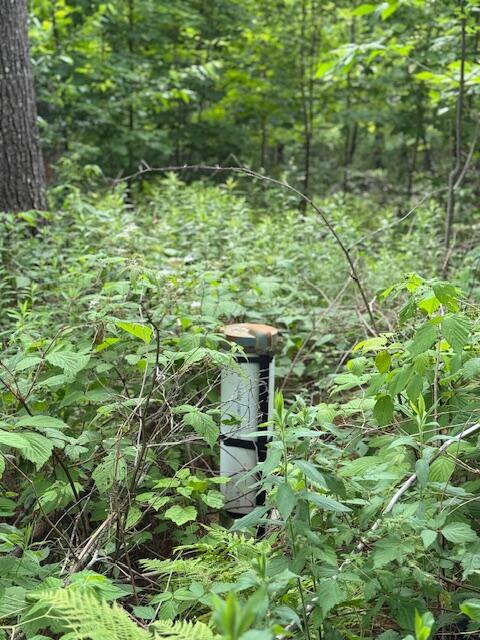 45 Freedom Road Belgrade, ME 04917 - Photo 69 of 81 45 Freedom Road