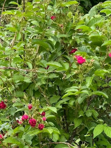 $1,500,000 | 45 Freedom Road, Belgrade, ME 04917