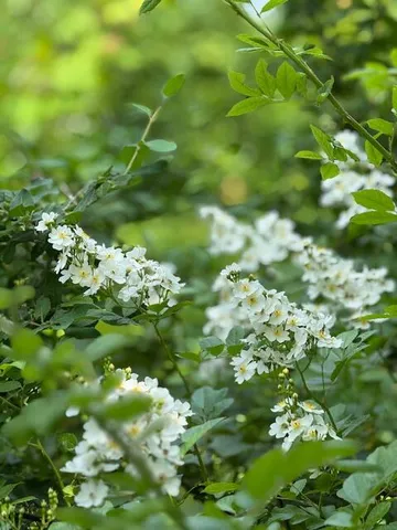 $1,500,000 | 45 Freedom Road, Belgrade, ME 04917