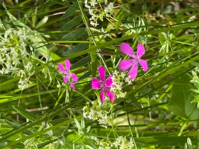 $1,500,000 | 45 Freedom Road, Belgrade, ME 04917