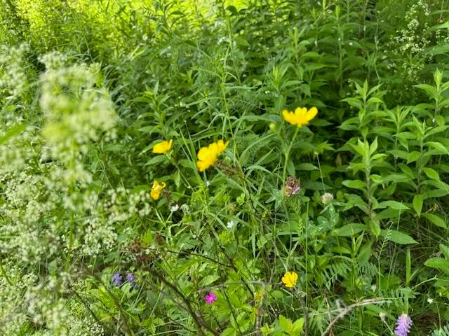 $1,500,000 | 45 Freedom Road, Belgrade, ME 04917