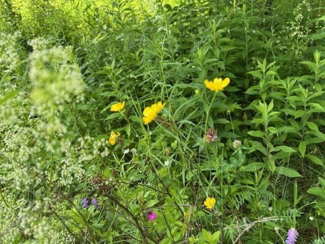 45 Freedom Road Belgrade, ME 04917 - Photo 75 of 81 45 Freedom Road