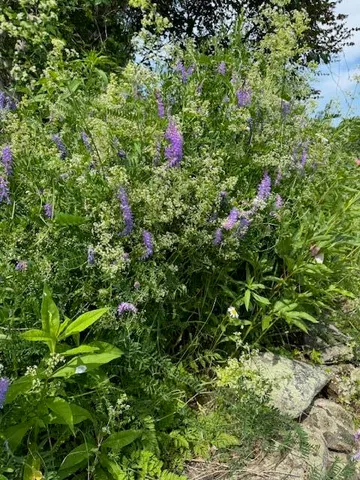 $1,500,000 | 45 Freedom Road, Belgrade, ME 04917