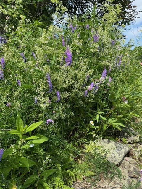 45 Freedom Road Belgrade, ME 04917 - Photo 76 of 81 45 Freedom Road