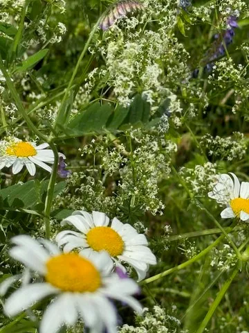 $1,500,000 | 45 Freedom Road, Belgrade, ME 04917