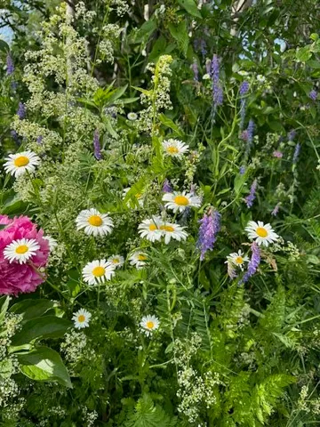 $1,500,000 | 45 Freedom Road, Belgrade, ME 04917