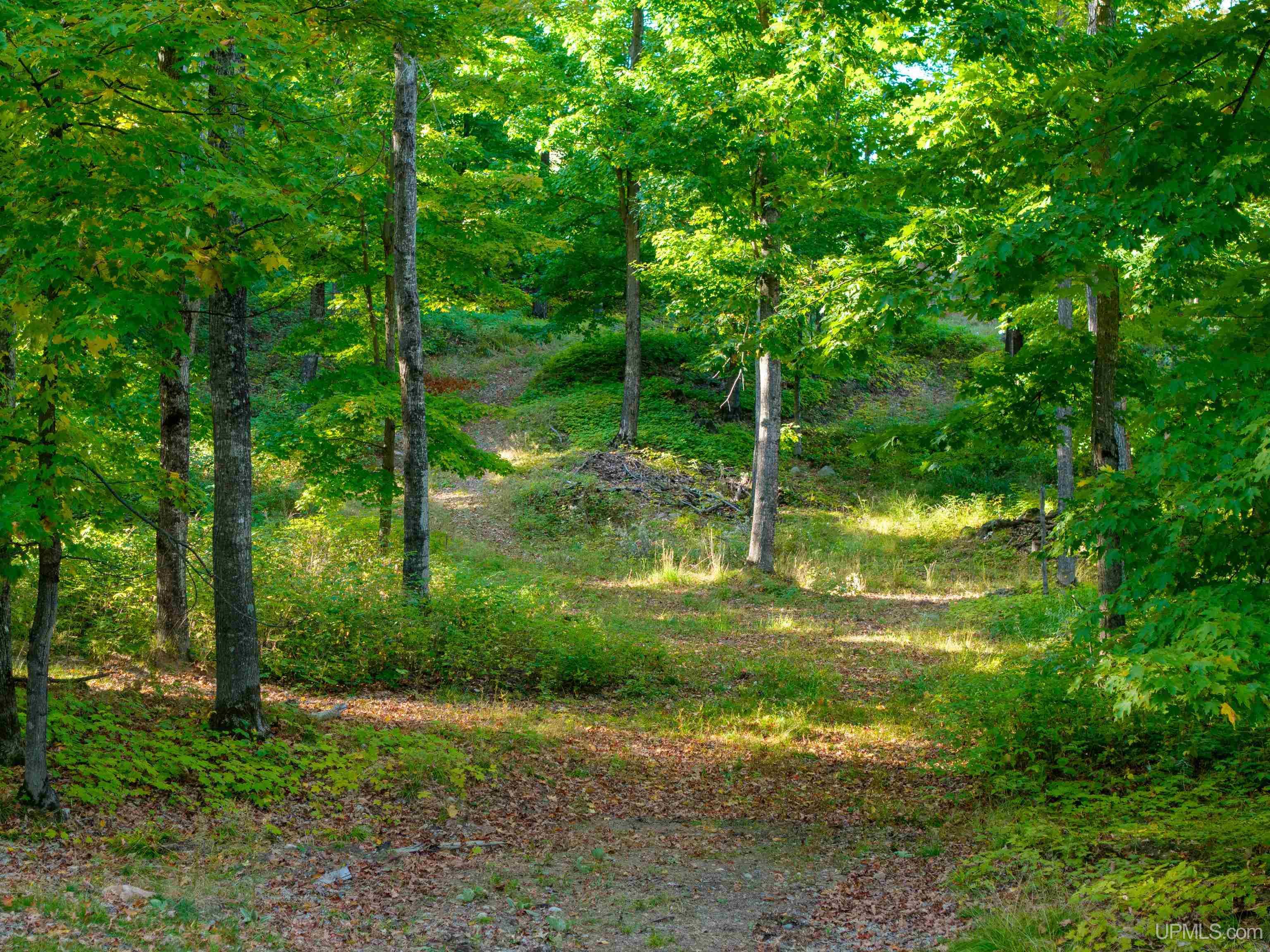 88 McClure Dm Road Negaunee, MI 49866 - Photo 9 of 46 Gallery Image 9