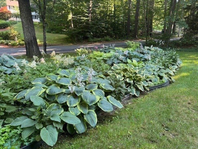 10 Mossman Road Westminster, MA 01473 - Photo 41 of 42 Gallery Image 41