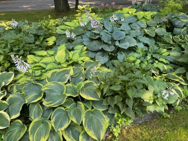 10 Mossman Road Westminster, MA 01473 - Photo 42 of 42 Gallery Image 42