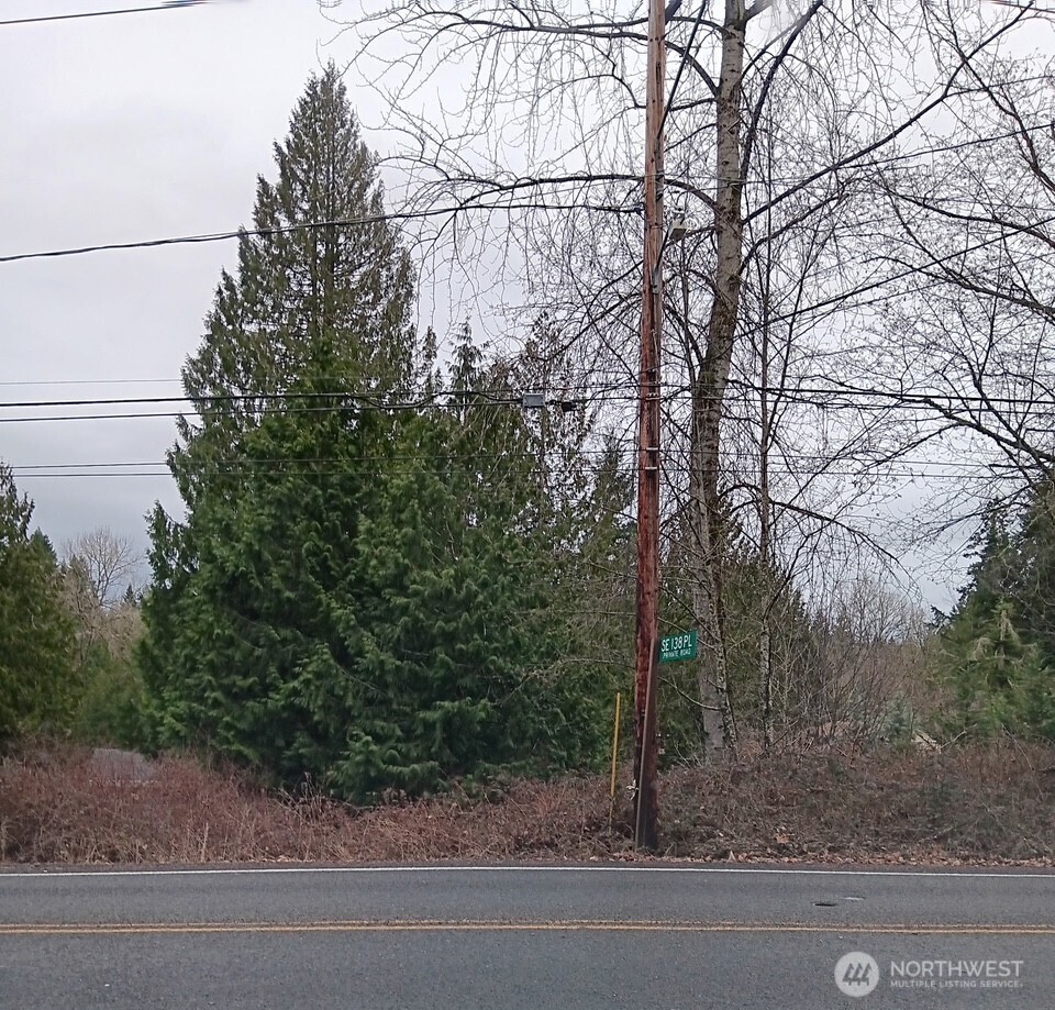 0 196th Avenue Southeast Renton, WA 98059 - Photo 1 of 1 Gallery Image 1
