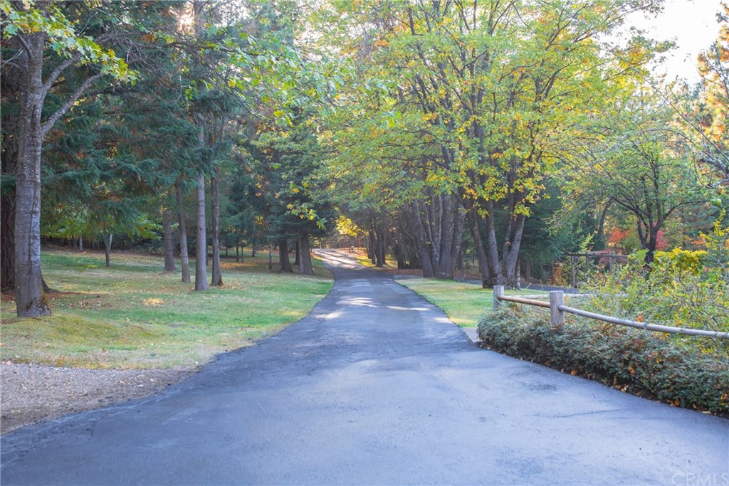 3312 Columbine Road Weed, CA 96094 - Photo 2 of 66