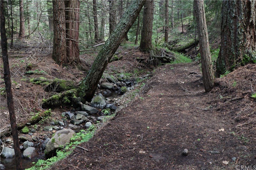 3312 Columbine Road Weed, CA 96094 - Photo 63 of 66