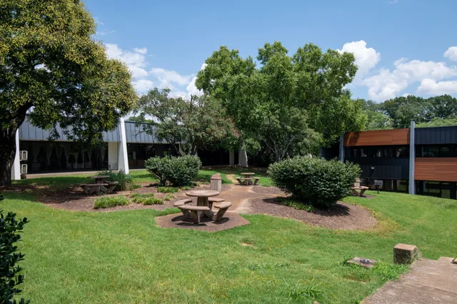 a view of a backyard with table and chairs potted plants and a large tree