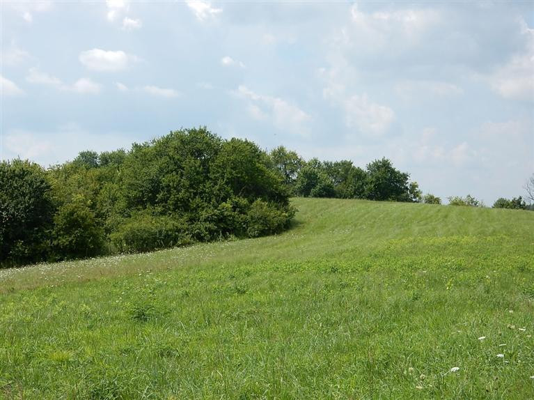 3595 Clifton Road Versailles, KY 40383 - Photo 4 of 9 Photo 4