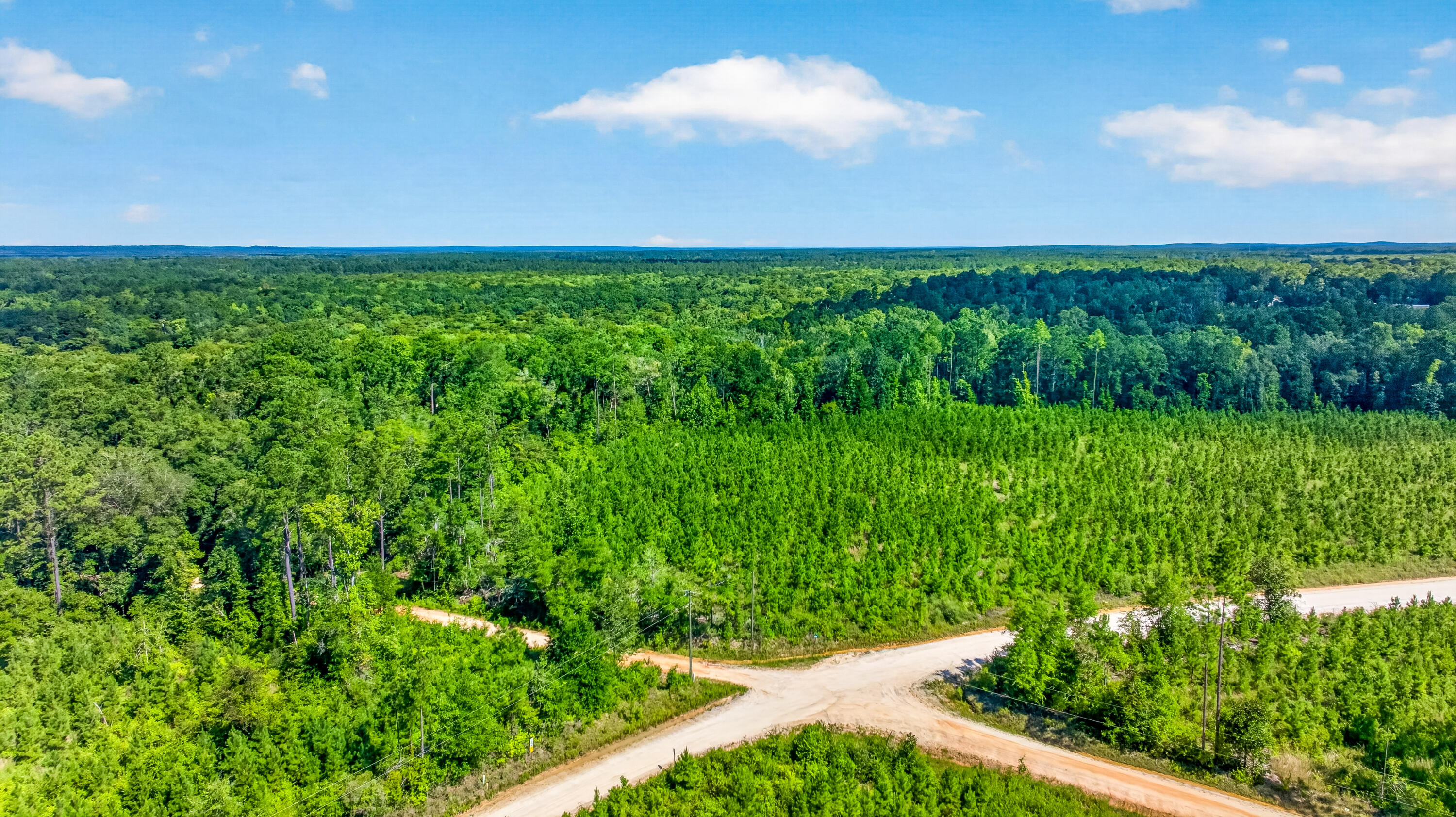 19-acres Potter Spring Road Vernon, FL 32462 - Photo 5 of 28 DJI_0134